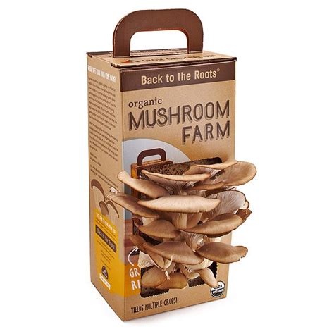 Lier Hansarang <b>Co</b>, Ltd. . Rec goods co mushroom